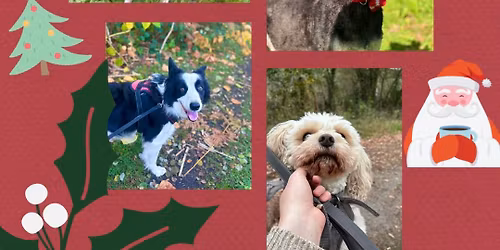 \ud83c\udf85\ud83c\udffb\ud83c\udf84Christmas dog Walkies\ud83c\udf84\ud83c\udf85\ud83c\udffb