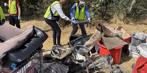 Wolves, Bats & Clean Habitats