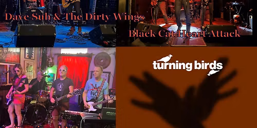 TURNING BIRDS \/ DANIMAL FARM \/ BLACK CAT HEART ATTACK \/ DAVE SUH & THE DIRTY WINGS