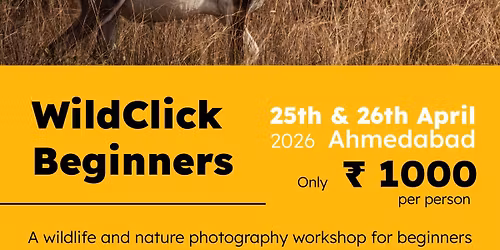Wildclick Beginners
