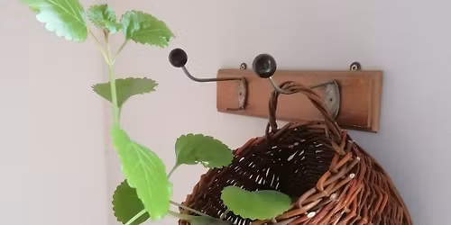 Atelier vannerie : panier suspendu - COMPLET 