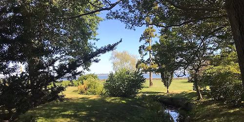 Arboretum Tour: Stonybrook