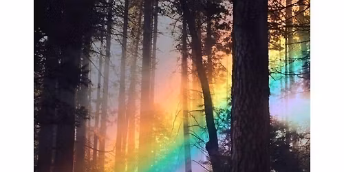 Reiki Level 1: The Self-Healing Path \u2013 Awaken, Align, Transform