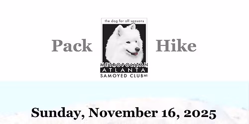 Samoyed walk at Stone Mountain 