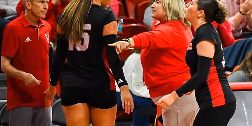 California Golden Bears at NC State Wolfpack Softball
