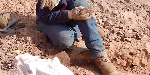 Rebel with a Rulebook: What to Do with the 300-Year-Old Rules for Biological Names