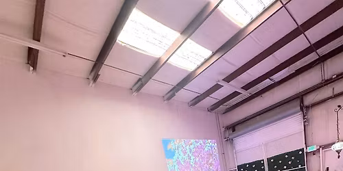 Flowers and Flow - Yoga And Sound Bath Experience