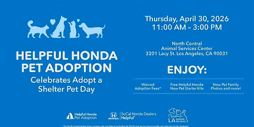 Helpful Honda Pet Adoption