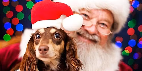 2025 Santa Photos @ Endless Tails Pet Nutrition Centre