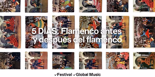 5 D\u00cdAS : Flamenco antes y despu\u00e9s del flamenco