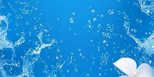 NOCHE LATINA #Sat. 13 June 2026 #de Oase Sittard