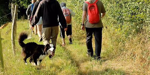 Randonn\u00e9e 12 Km Vimoutiers 