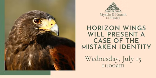 Horizon Wings will present A Case of the Mistaken Identity
