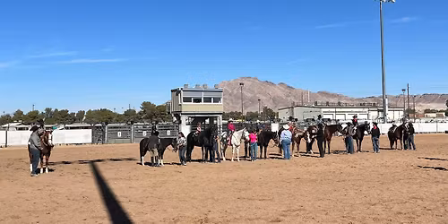 November horse show