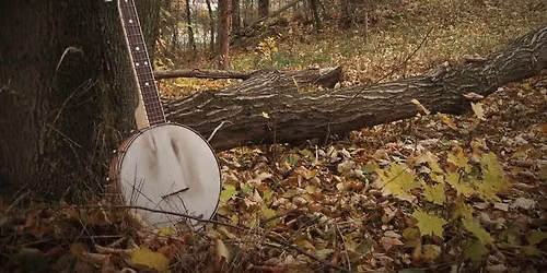 Byst\u0159ick\u00e9 banjo