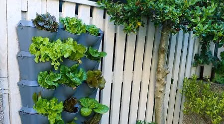 Intro to Container Gardening 