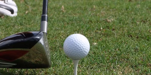 Sparky's Fairway