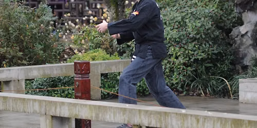 Tai Chi Fundamentals