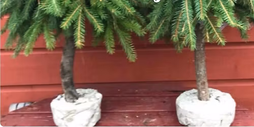 \ud83c\udf84Evergreen Tree or Gnome Making Class at West & Co. 