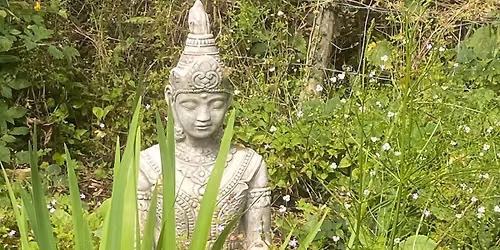 The Herbalist\u2019s apothecary annual garden day