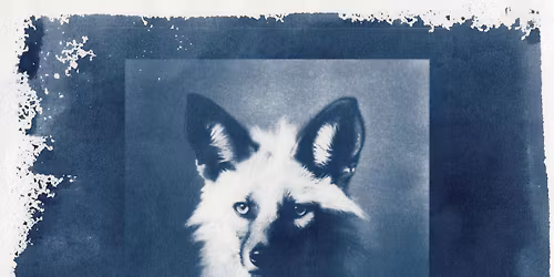 MATTHIS PASCAUD \/ LOUP(S)