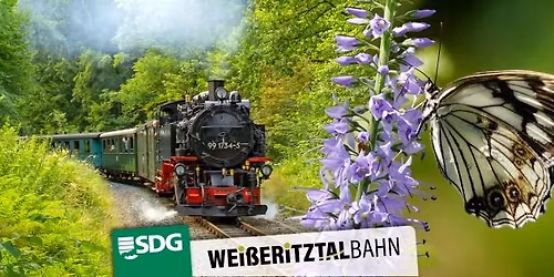 "NaturPur - Mit Dampf zum Bl\u00fctenzauber"