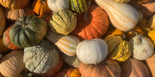 October Homeschool Day