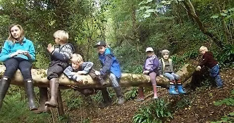 TimberWild Nature Program