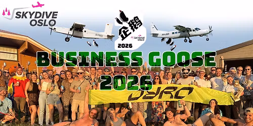 Business Goose 2026