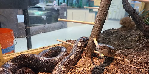 Animal Enrichment Studio
