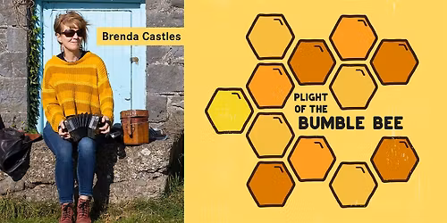 Plight of the Bumble Bee: Documentary