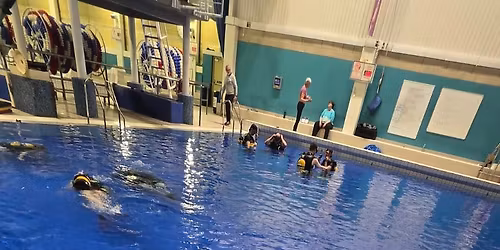 Try Dive