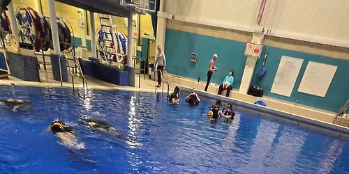 Try Dive