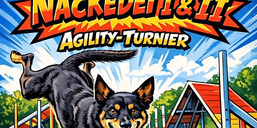 Agility Turnier Nakedei I