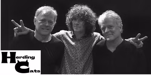 The Herding Cats host Ladies Night!