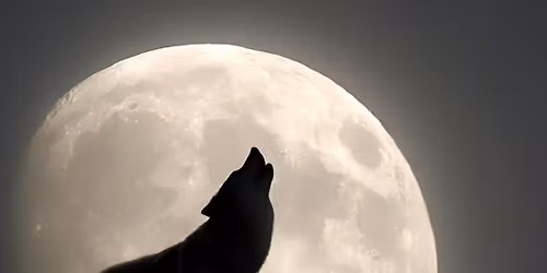 Full Moon Sound Healing: Wolf Moon