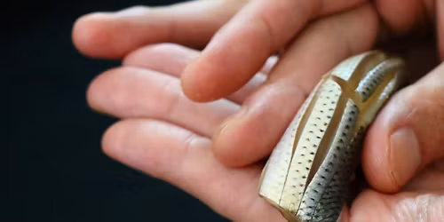 \u63e1\u308a\u7df4\u7fd2\u4f1a\u521d\u7d1a\u7de8\u300011\u670824\u65e5(\u6708)18\u664200\u5206