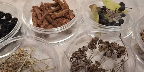 Boglarka Balasa: Creating pictures using recycled paper and dye plants \/ workshop