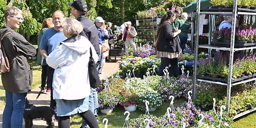 Bangsbo Blomsterfestival 2026