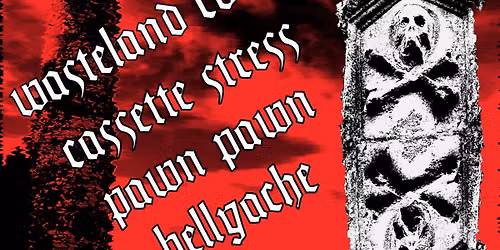 Wasteland Coven \/\/ Cassette Stress \/\/ Pawn Pawn \/\/ Bellyache @ The Abyss