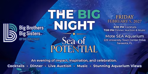 The Big Night | Sea of Potential \ud83e\udd88\ud83e\udeb8