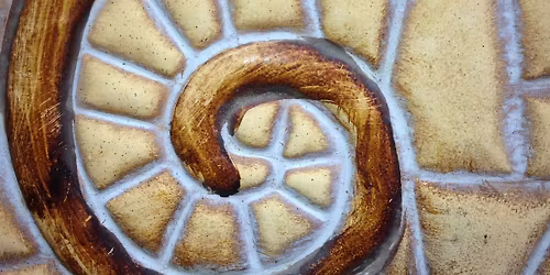 Embodied Neurobiology