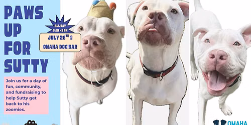 Paws up for Sutty - A fundraiser to help him get surgery