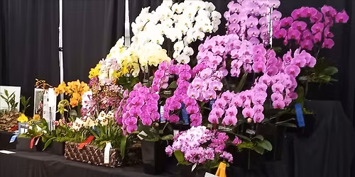 Orchidophilia 2026 - 42nd Annual Orchid Show (May 2nd, 3rd)