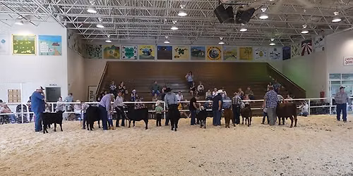 2026 RMDB Utah State Fair Open Dexter Show