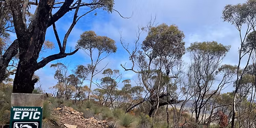 State Outdoors and Trails Conference 