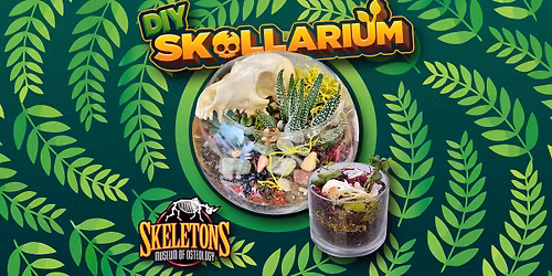 DIY Skullarium