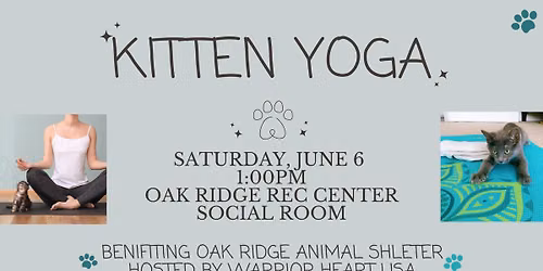 Kitten Yoga Fundraiser