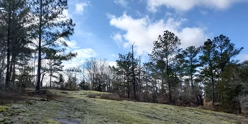 Guided Hike to Panola Mountain