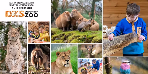 Rangers: 6 - 12 Years Old!